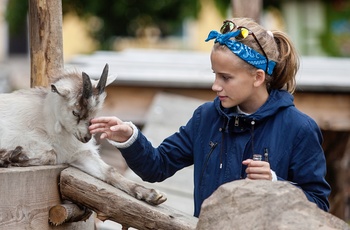 Skånes Djurpark