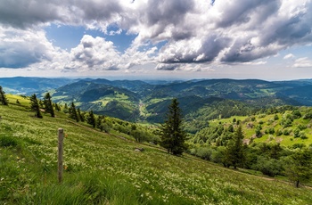 Udsigt fra Belchen © Hochschwarzwald Tourismus GmbH