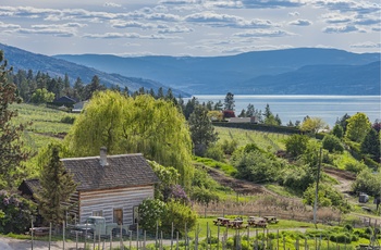 Frugtplantage i Okanagan Valley i Canada