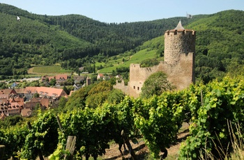 Château Kaysersberg