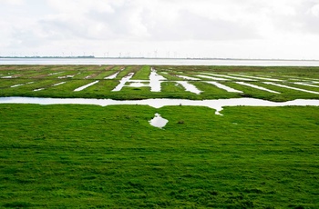 Vadehavet nær Tönning