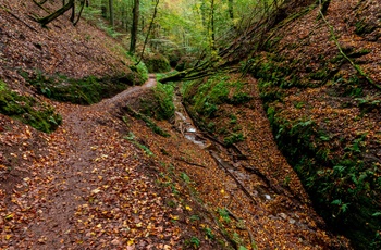 Drachenschlucht - Dragekløften i Thüringen