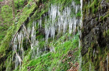 Drachenschlucht - Dragekløften i Thüringen