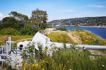 Drøbak - Oscarsborg fæstning med kanoner, Norge