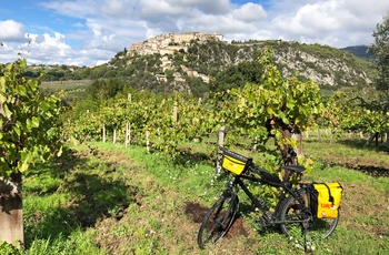 EuroBike cykelferie, pause i vinmarken, Toscana/Umbrien
