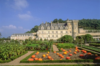 eurobike-radreise-loire-schloesser-(c)-maison-de-la-france-lejeune-schloss-villandry