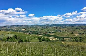 Udsigt over Piemontes vinbjerge, Eurobike