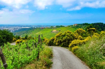 Vinbjerge Toscana 