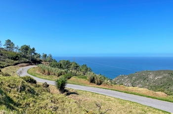 Cykeltur fra Porto til Lissabon - Portugals Atlanterhavskyst på cykel - Colares