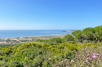 Cykeltur fra Porto til Lissabon - Portugals Atlanterhavskyst på cykel