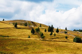 Alsace - Le Markstein i Vogeserne