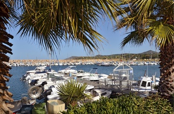 Havn og palmetræer i Argèles-sur-mer, Frankrig