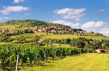 Beaujolais-området i Frankrig