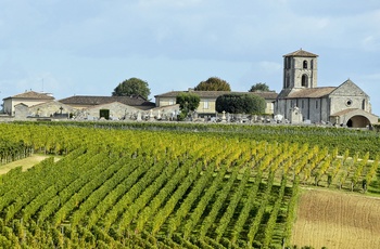 Vinmarkerne ved den skønne by St. Emilion i Bordeaux, Frankrig