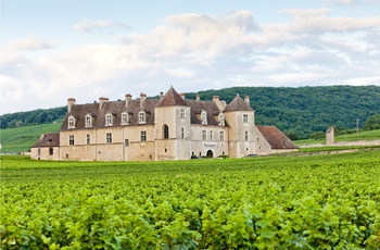 Chateau du clos de Vougeot i Bourgogne, Frankrig