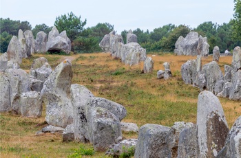 Imponerende bautasten i Carnac Bretagne, Frankrig