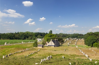 Lange rækker af bautasten i Carnac Bretagne, Frankrig