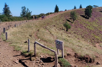 Chaine des Puys i Frankrig - vulkansk bjergkæde i Auvergne - Vandresti