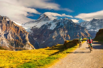 Chamonix for foden af mægtige Mont-Blanc - Her kan man også køre på MTB