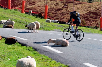 Col du Tourmalet i de franske Pyrenæer - cyklist tager turen opad