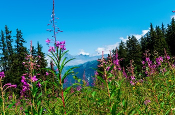 Courchevel i de franske Alper