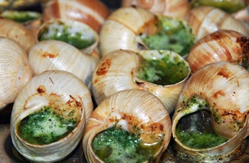 Den franske specialitet, escargot, snegle