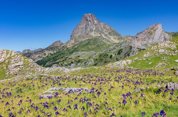 Laruns i de franske Pyrenæer - bjerget Midi d'Ossau
