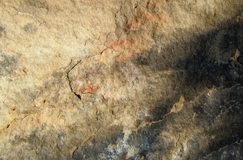 Lascaux-grotten i Frankrig