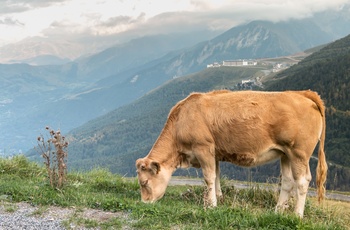 Pla d'Adet i Pyrenæerne