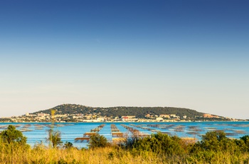 Østersfarme uden for Sete, Frankrig