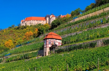 Vinmarker ved Neuenburg slot, Freyburg i Midttyskland