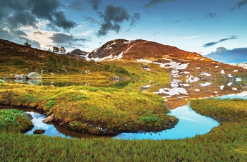 Hardangervidda National Park i Norge
