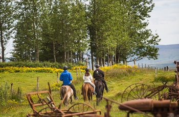 Efstidalur Heste Island