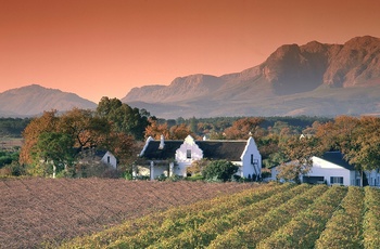 Sydafrikanske vinmarker, Stellenbosch
