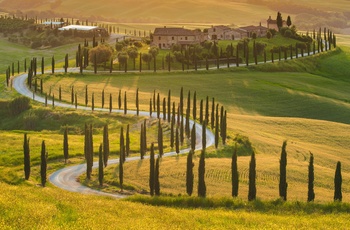 Kør via de små veje i Toscana