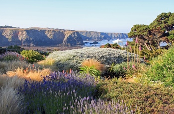 Mendocino i Californien