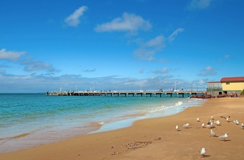 Great Ocean Apollo Bay i Australien