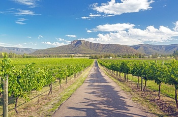 Vinmark i Hunter Valley - New South Wales