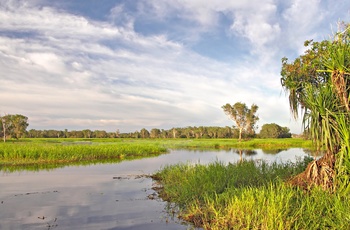 Yellow Water Billabon i Kakadu National Park