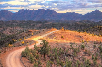 Dirtroad mod Flinders Ranges og Wilpena Pound i South Australia