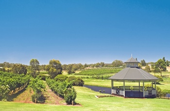 Swan Valley - vinmarker i Western Australia