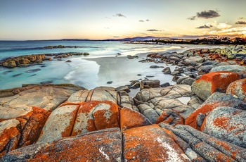 Ildbugten i Tasmanien - Bay of fires