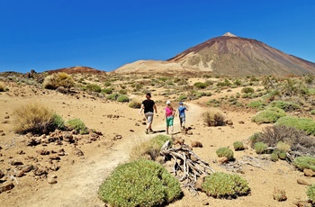 Vulkanen Teide på Tenerife - Spaniens højeste bjerg