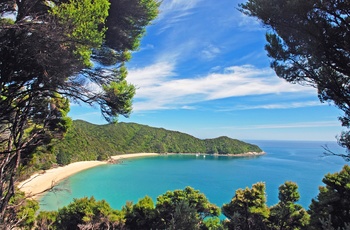 Kyststrækning i Abel Tasman National Park - Sydøen