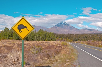 Vej mod Tongariro National Park