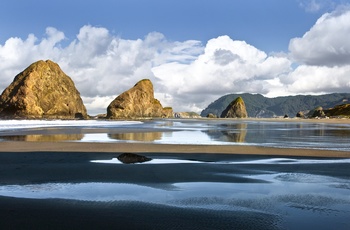 Kyststrækning i Oregon