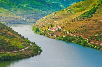 Douro floden og vinterrasser i det nordlige Portugal