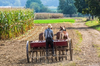 Amish i Lancaster