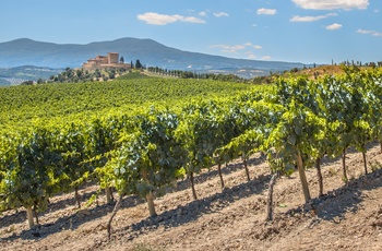 Vinområdet Chianti i Toscana
