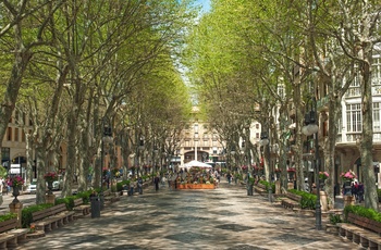 Boulevard i centrum af Palma de Mallorca
